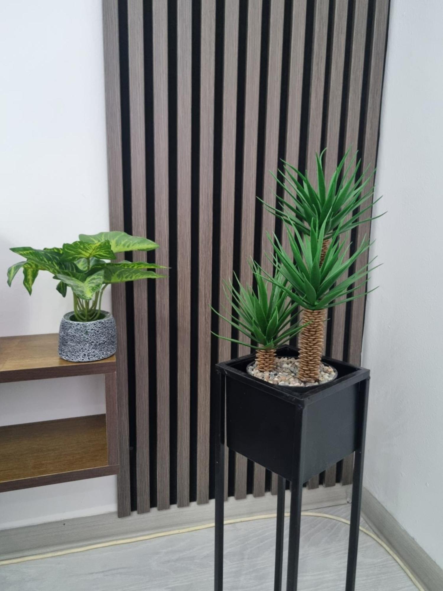 Globus Apartment *